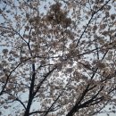 수명고등학교 이미지