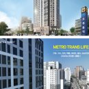 우분투포레스트 이미지