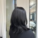 스콥헤어 이미지