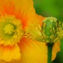 (주)보고유화 이미지