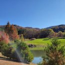 평창 골프장 가을의 아름다운 풍경 이미지