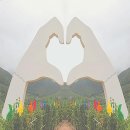 구영애여행