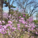 반포천 동작역~이수교차로 사이 둔치 | 이순신 백의종군길 1코스 - 국립중앙박물관에서 남태령 망루