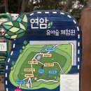 [아이랑 가볼만한 곳] 대구 연암공원 유아숲 체험원 후기