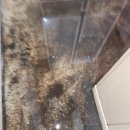 산업로-5 이미지