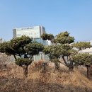 청계천길 이미지