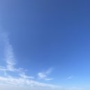 제주피움 이미지