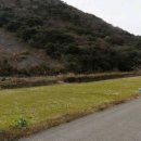 여수바다부동산공인중개사사무소 이미지