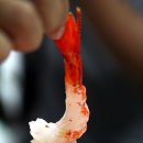양포수산