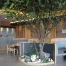 가마골 백숙 이미지