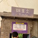 [ 고성 - 하늬라벤더팜 ] 보랏빛으로 가득채워진 라벤더 축제 시작 ! 아이들과 함께가기 좋은곳 , 고성...