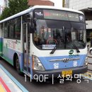 일광여객 이미지