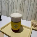 제주 목향장미 미주크크 웨이팅 실시간 작년과 달라진점 장단점