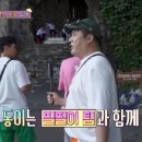 신동-100 이미지