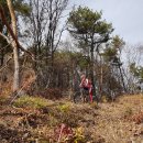 대산농업협동조합 이미지