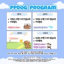 피피독 네이버블로그
