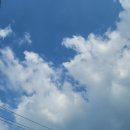 씨유송정태양점 | 8월 일상_1 | 드디어 변경한 알뜰요금제, 오랜만에 방문한 주말농장, 열심히 따내는 붉은고추들, 가족과...