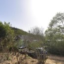 심원정한증막 이미지