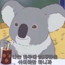 메이블룸