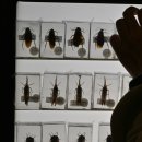 동양종합가스 | 추석연휴 대만 여행기 #4(타이중 국립자연과학박물관)