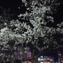 운천저수지 이미지