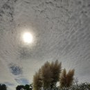 목동목장 이미지