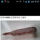 쭈쭈바 이미지