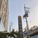 아사크 | 구두에 맞지 않으면 맞게 만들면 돼 영화 '어글리 시스터' 정보 출연진 솔직 후 기
