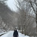 쩐다육