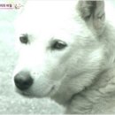 길순농장 네이버블로그