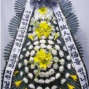 은행정천 이미지