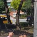 길라잡이 태권도체육관 이미지