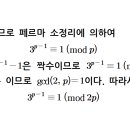 페르마 정리 vs 페르마 소 정리 이미지