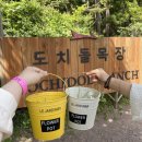 새별 | [제주 여행] 제주 도치돌 알파카 목장 후기(새별프렌즈 비교)