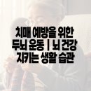 치매예방을 위한 뇌건강 레시피 | 치매 예방을 위한 두뇌 운동 | 뇌 건강 지키는 생활 습관
