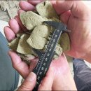 해조수산 이미지