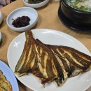 [속초맛집]순자집 곰치국 / 곰지국전문이지만 가자미구이가 더 맛있었던~