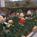 창원단감테마공원 이미지