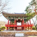 연꽃로 이미지