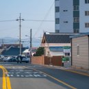 엄마손김치 이미지