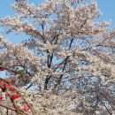 버들농원 이미지