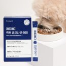 브리지 이미지