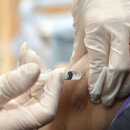 기장체육관 보조경기장 이미지