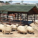 대산목장 이미지