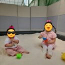 아이네오어린이집 | 유아 머리 포인트 필수템 🎀 반반하니 네오플렌 입체 리본핀 실사용 후기 (내돈내산)