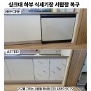 동원3차아파트 | 오산동 동탄역 동원로얄듀크비스타3차 아파트 싱크대 식세기 하부장 자리 원상복구 후기 (병점 봉담...