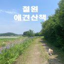 철원 애견 이미지