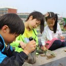 본원유치원 이미지