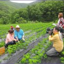 특우농원