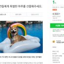 [콩기부] 팅커벨 아이들을 위한 송추 도그스포지움 행사비 모금 개시했습니다. 이미지